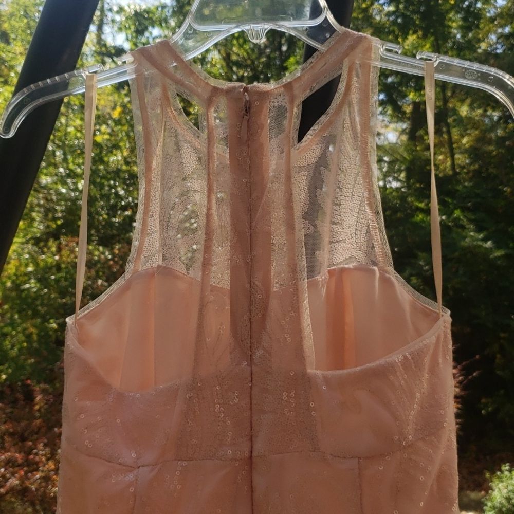 Maxi Dress Blush Pink 6 Sequins on Sheer Illusion A line Elegant Formal Gown - Picture 5 of 7